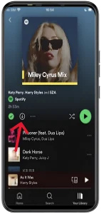 how to download songs on Spotify-ios2